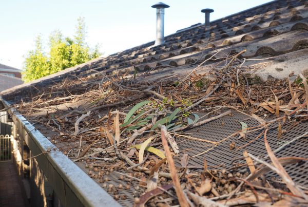 Roof requiring maintenance services and repair